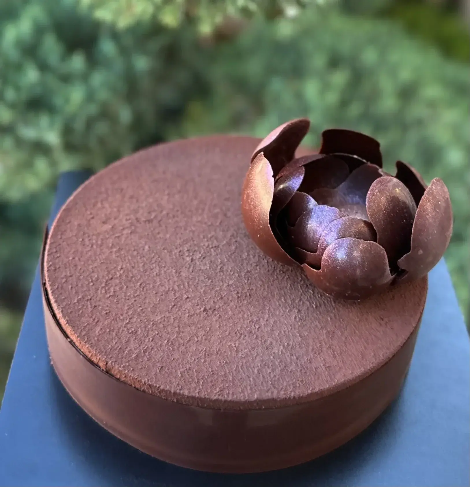 Tarta de Chocolate con Leche y Frutas Exóticas