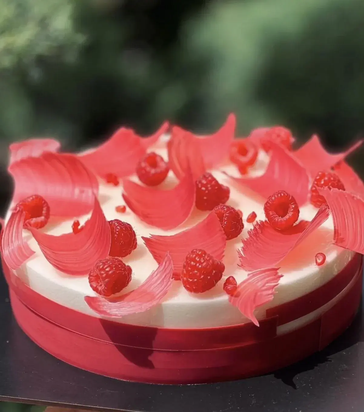 Tarta de Frambuesa y Mascarpone